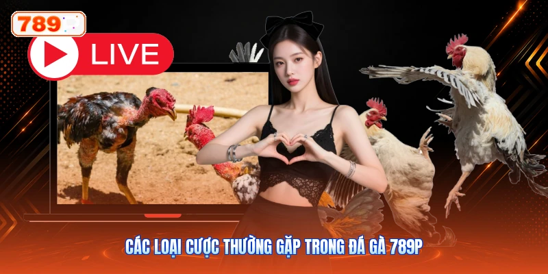 Các Loại Cược Thường Gặp Trong Đá Gà 789P