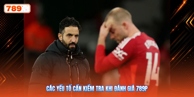 Các yếu tố cần kiểm tra khi đánh giá 789P