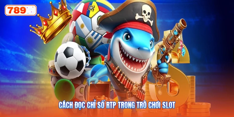 Cách Đọc Chỉ Số RTP Trong Trò Chơi Slot