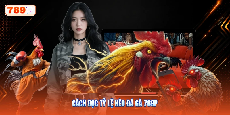 Cách Đọc Tỷ Lệ Kèo Đá Gà 789P