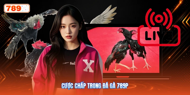 Cược chấp trong đá gà 789P