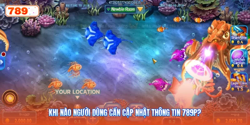 Khi Nào Người Dùng Cần Cập Nhật Thông Tin 789P?