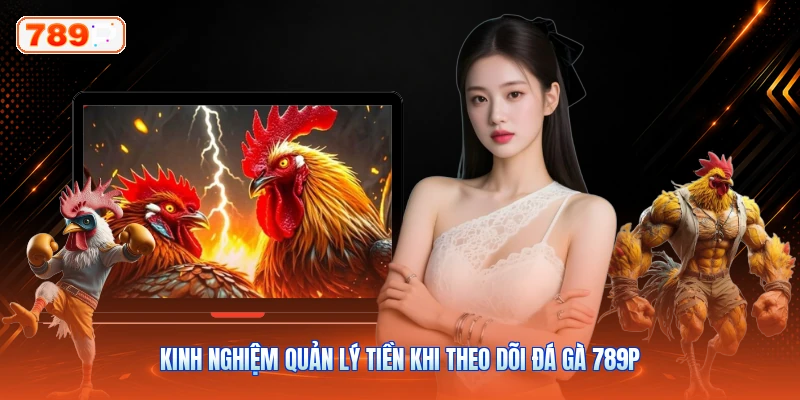Kinh Nghiệm Quản Lý Tiền Khi Theo Dõi Đá Gà 789P