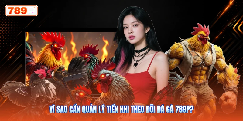 Vì Sao Cần Quản Lý Tiền Khi Theo Dõi Đá Gà 789P?